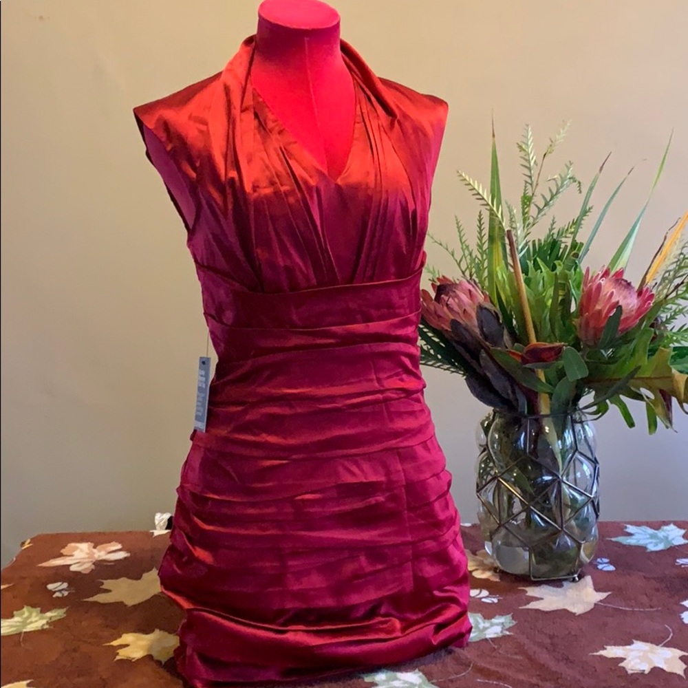 Express Red Silk Cap-sleeve MiniDress